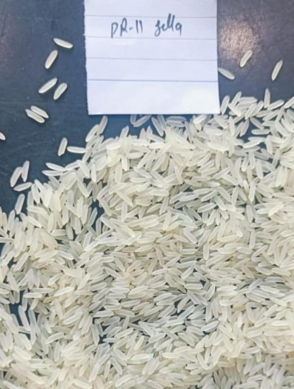 PR11 Rice